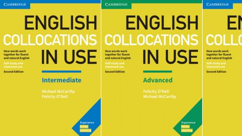 English Collocations in Use Second edition by Michael McCarthy