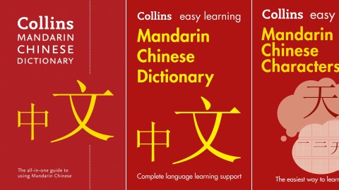 Chinese Dictionaries