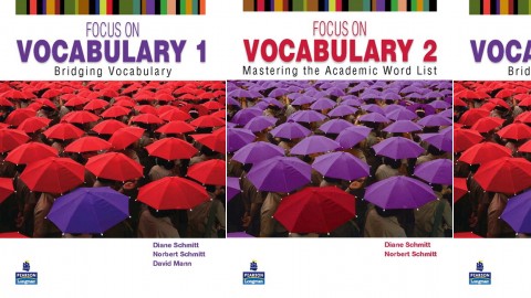 Focus on Vocabulary by Diane Schmitt, Norbert Schmitt, David Mann