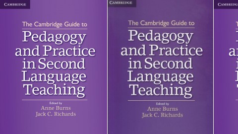 The Cambridge Guide To Pedagogy And Practice In Second Language ...