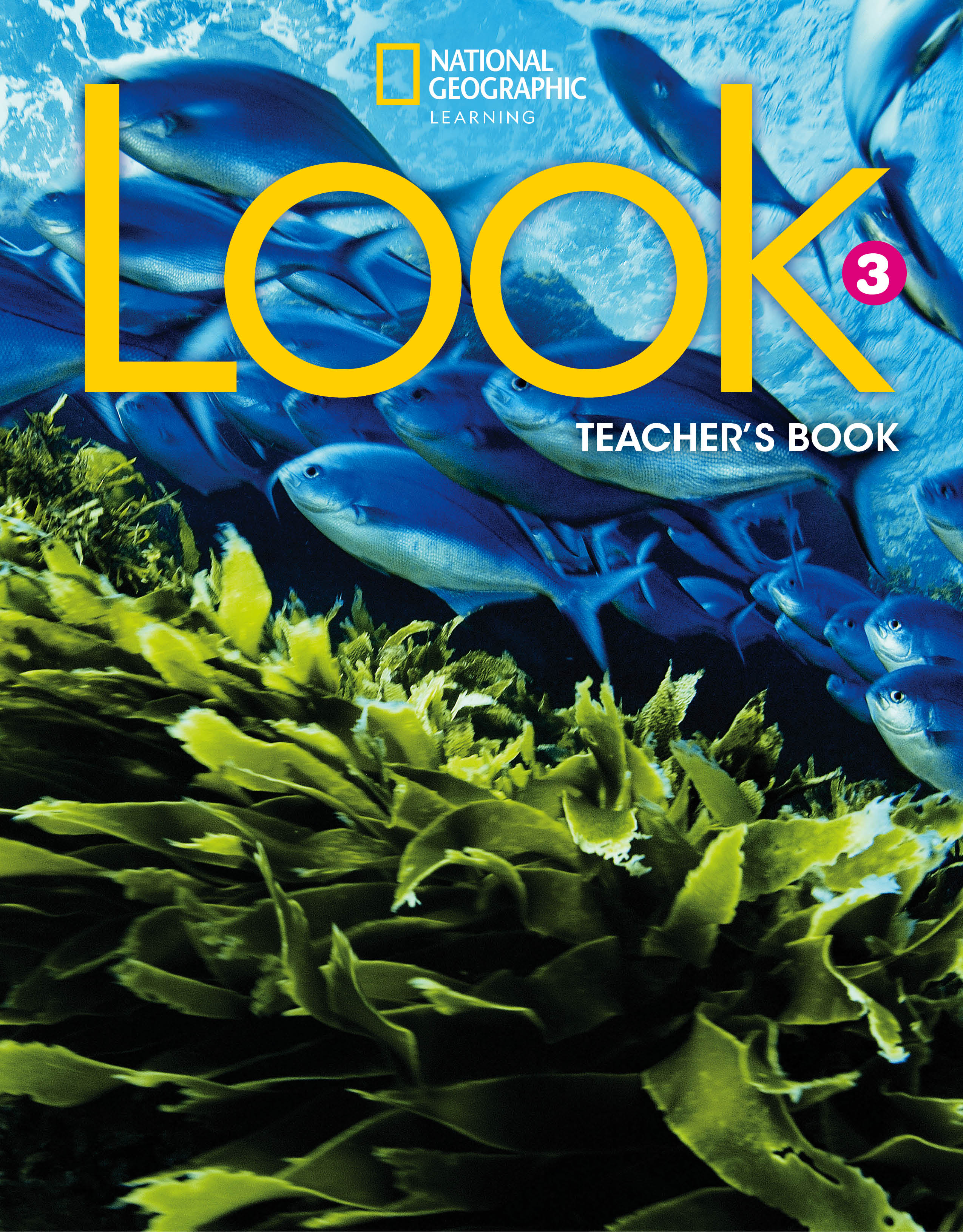 LOOK (American English) - Lesson Planner with digital resources (Book 3) by  Elaine Boyd and Paul Dummett – Course Consultants on ELTBOOKS - 20% OFF!